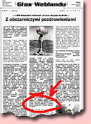 Zrzut ekranu artykułu z Głosu Weblandu